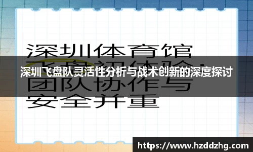 深圳飞盘队灵活性分析与战术创新的深度探讨